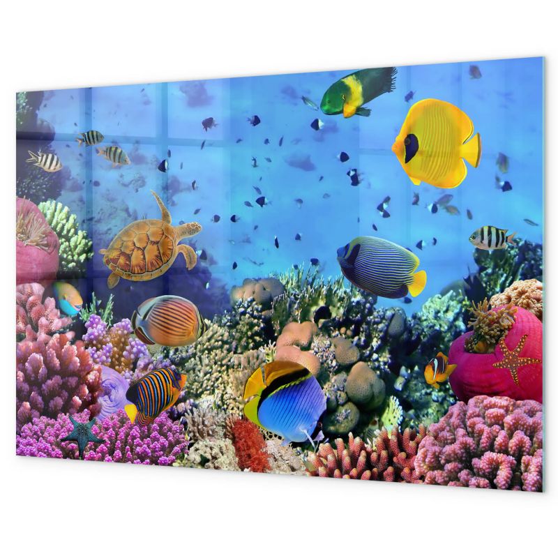 Magnetyczna Tablica Tulup 60x40 cm Podwodne życie 5 magnesów neodymowych 1 kpl