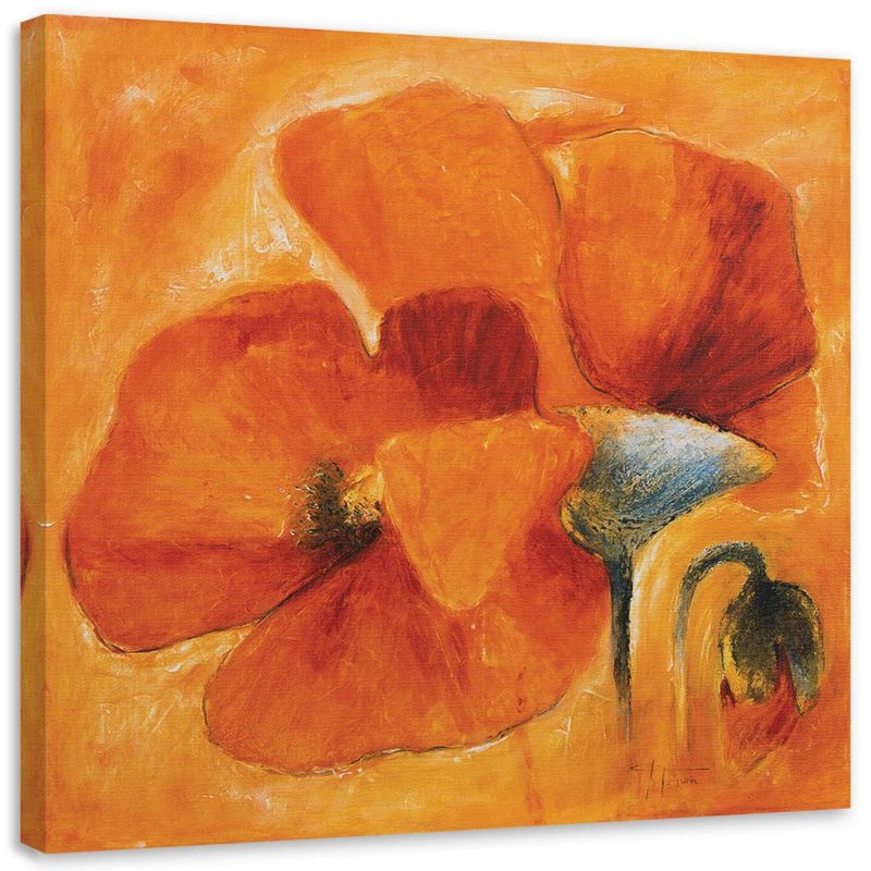 Obraz na płótnie Feeby Pomarańczowe maki z bliska 40x40cm 1szt
