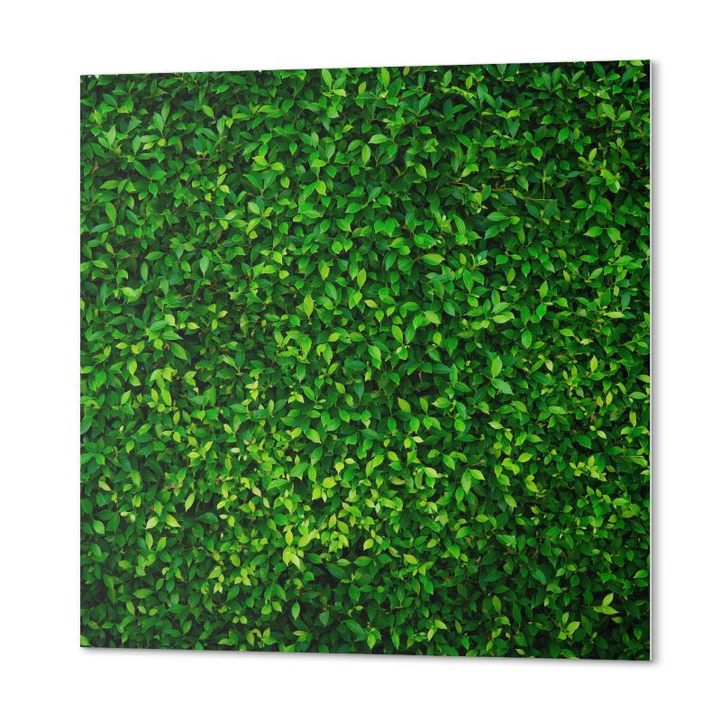 Winylowe Kafelki Samoprzylepne ArtPrintCave 50x50 cm Gęsta ściana liści 4 szt.