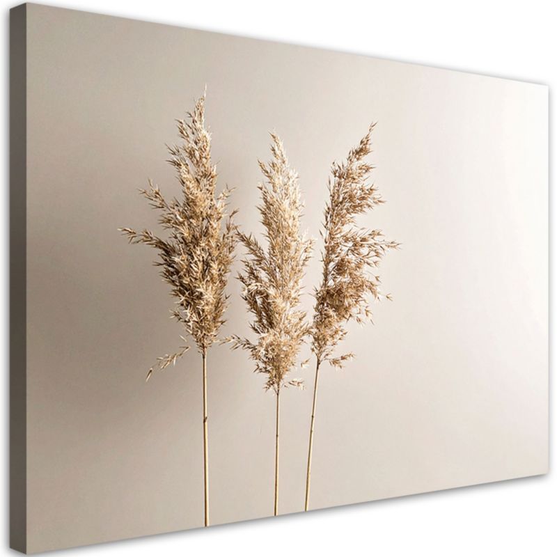 Obraz do salonu kuchni biura Feeby Trawa pampasowa rośliny natura beżowy 120x80cm 1szt