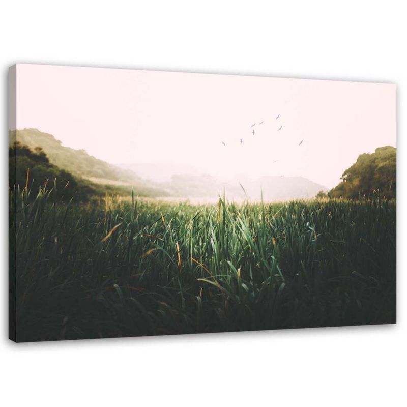 Obraz na płótnie Feeby Ptaki na mokradłach 30x20cm 1szt