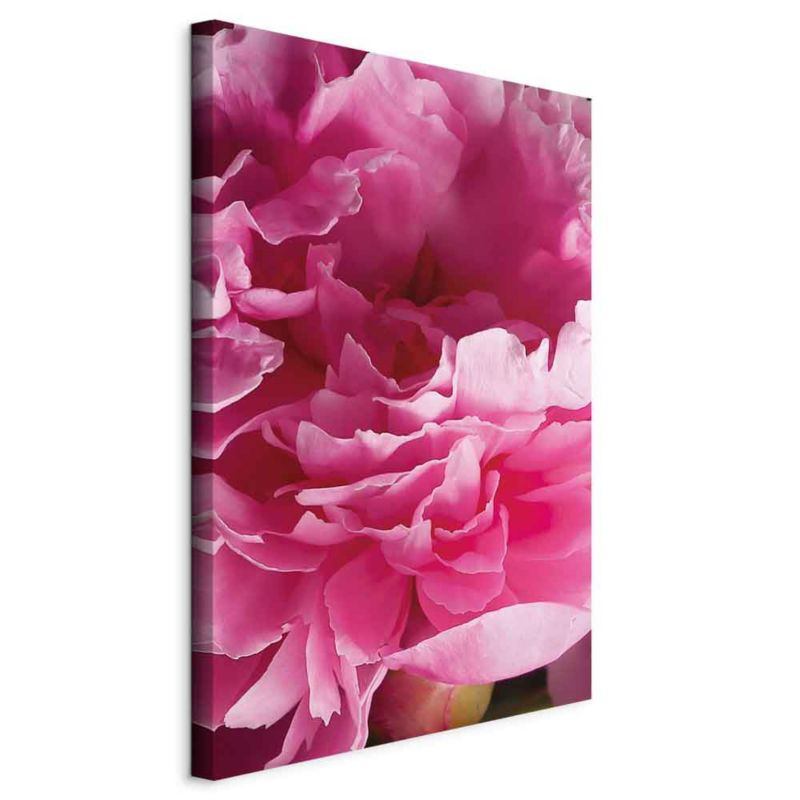 Obraz Artgeist Rozkwit piękna 80 x 120 cm płótno włoskie 1 szt