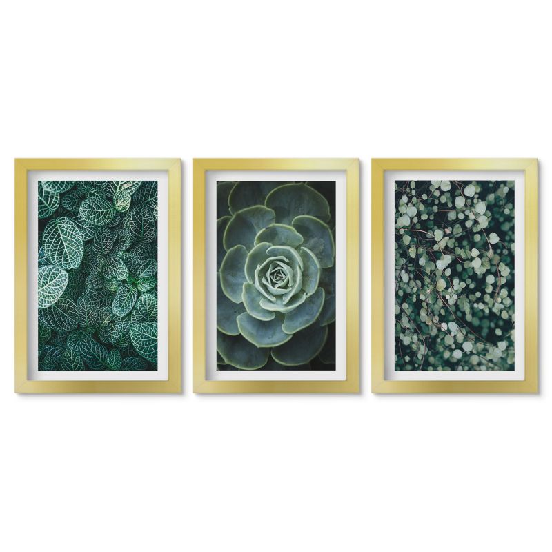 Obrazy w złotej ramie Tulup 20x30 cm Sukulenty Dekoracja ścienna do przedpokoju 1 kpl