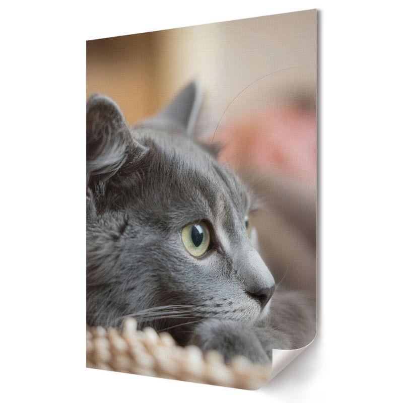 Plakat na ścianę Wallfluent Format A4 Szary kot Artysta Magdalena Dąbrowska 1 szt.