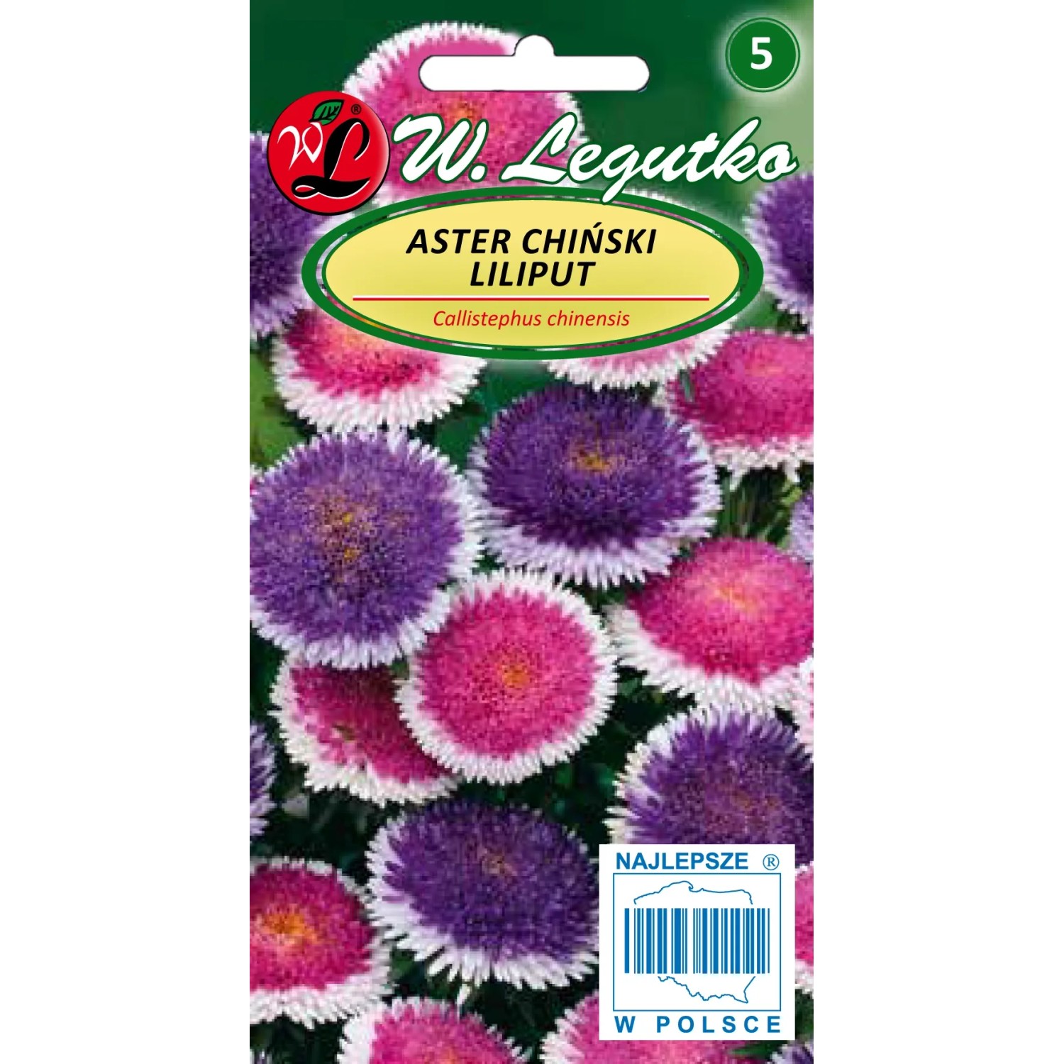 Aster chiński Liliput mieszanka