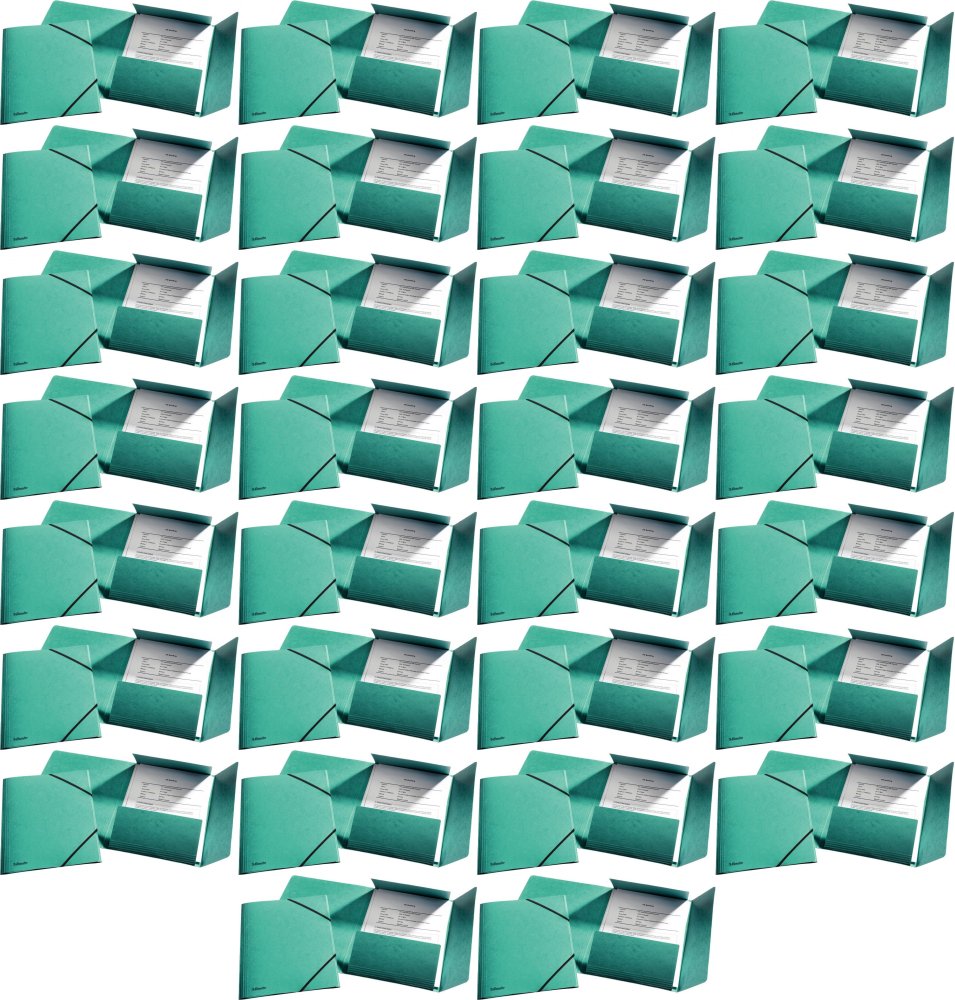 60x Teczka preszpanowa z narożną gumką Esselte, A4, 330g/m2, 4mm, zielony