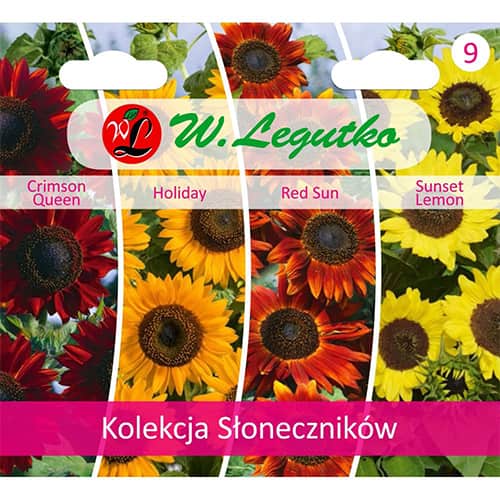 Kolekcia Slnečnice, 4 odrody - : Monžstvo balíkov: 1 kus