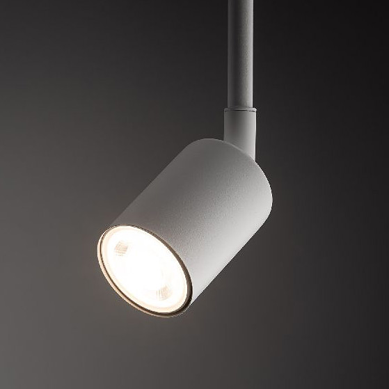 TK Lighting Tracer lampa do szynoprzewodów 1x10 W biały 4888