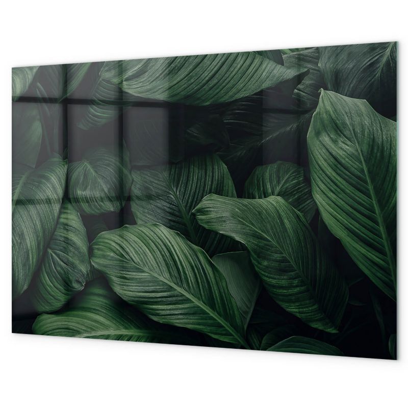 Tablica Magnetyczna Na Ścianę Tulup 90x60 cm Tropikalna monstera Ozdobna, nowoczesna 1 kpl