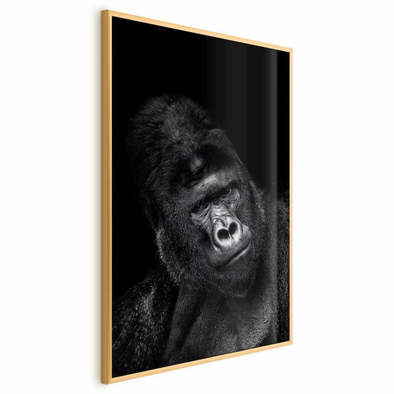 Plakat Artgeist Goryl 40x60 cm z ramą złotą 1 szt