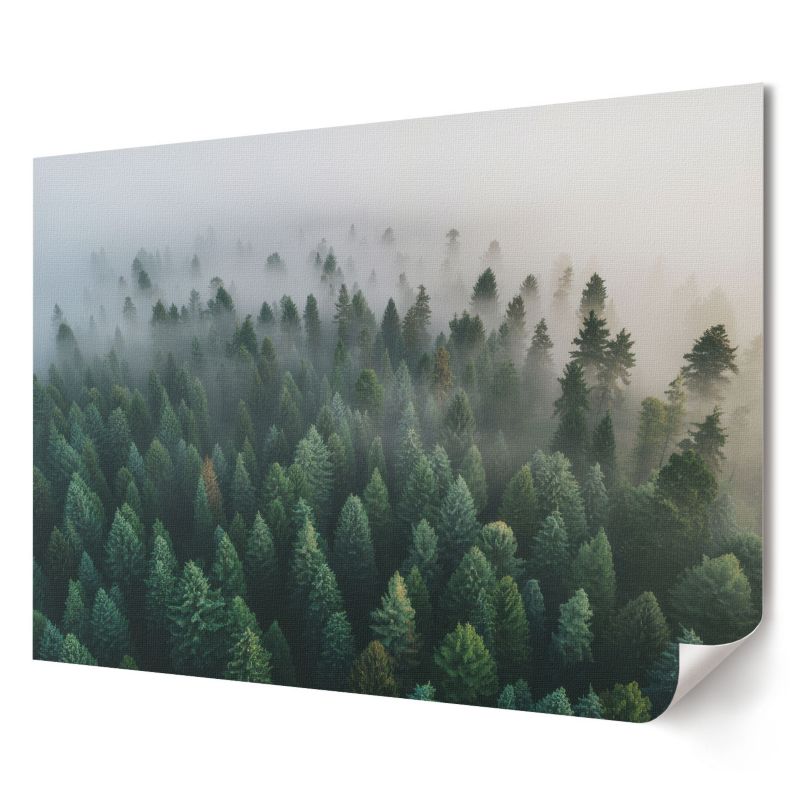 Plakat Wallfluent Format A2 Tajemniczy las Artysta Nitrozine 1 szt.