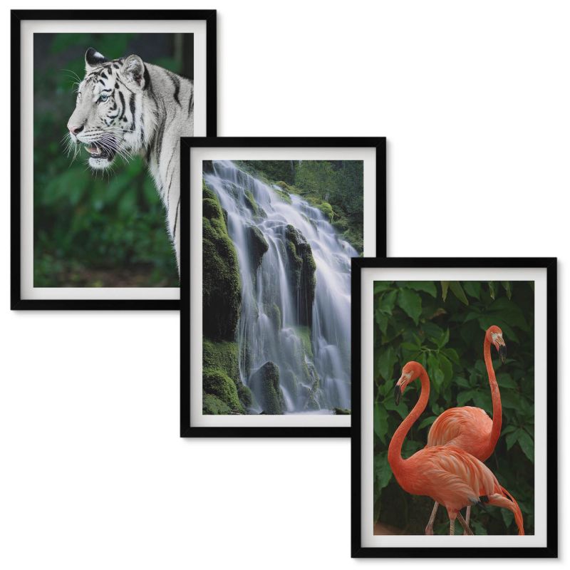 Zestaw Obrazów w Ramie Wallfluent Tygrys wodospad flamingi natura Czarna rama 40x60 cm 3 szt.