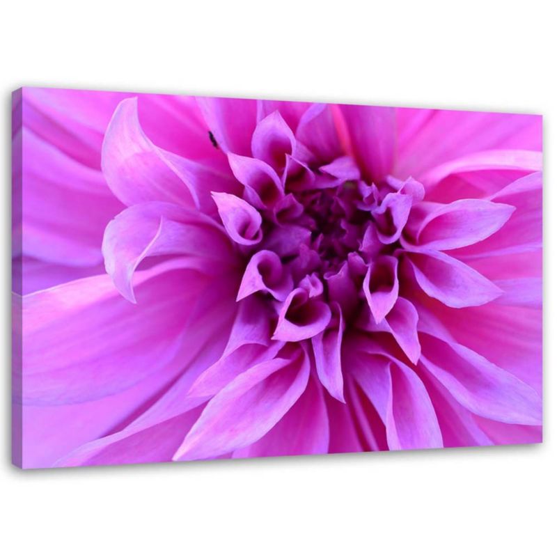 Obraz na płótnie Feeby Purpurowy kwiat 100x70cm 1szt