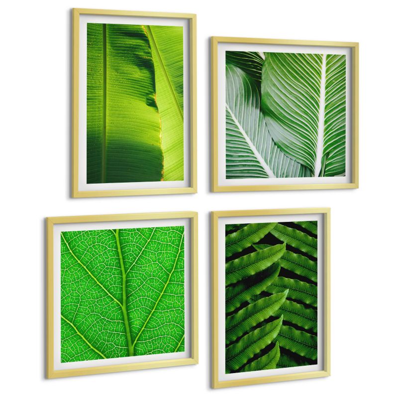 Zestaw Obrazów 4 Częściowy ArtPrintCave (2x50x50+2x40x60cm) Złota rama Zbliżenia liście tropikalne 1 kpl.