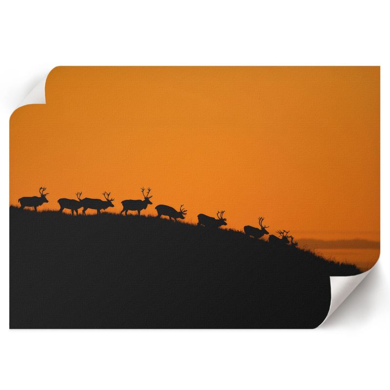 Plakat Ścienny ArtPrintCave 42x29,7 cm Jelenie na wzgórzu Nadia Nowak 1 szt.