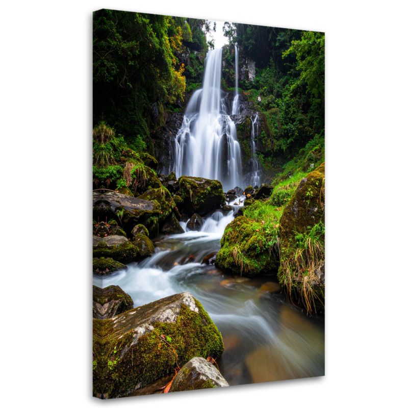 Obraz do salonu sypialni kuchni Feeby Pejzaż wodospad góry natura 80x120cm 1szt