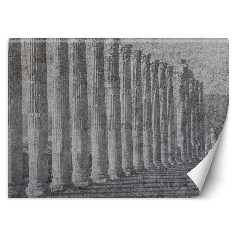 Fototapeta Feeby Antyczne kolumny 250x175 1 szt