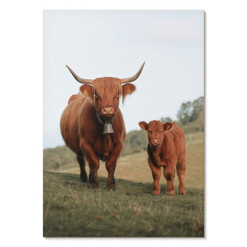 Obraz Plakat Canvas Tulup 42x59,4 cm (A2) Byk i cielak Do salonu, sypialni, 1 szt.
