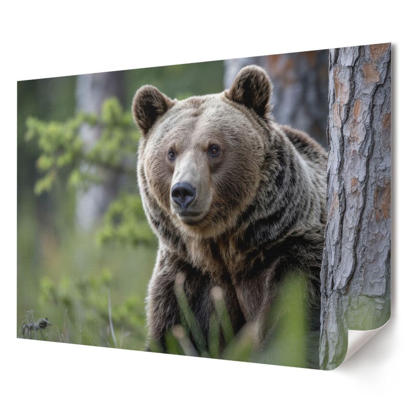 Plakat na ścianę Wallfluent Format A3 Niedźwiedź w lesie Artysta Ivara 1 szt.