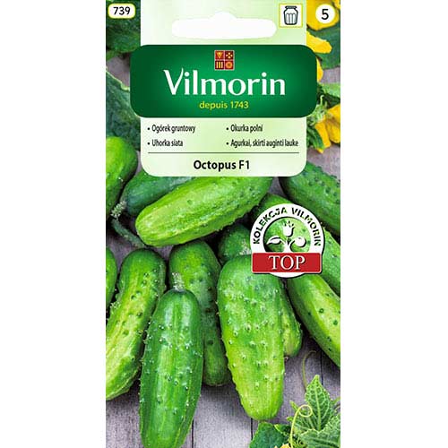 1 szt, Ogórek gruntowy Octopus F1 Vilmorin - Nasiona: Ilość w opakowaniu: 2 g