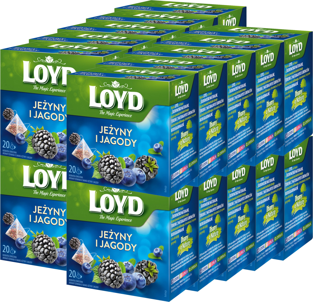 20x Herbata owocowa w piramidkach Loyd Jeżyny i Jagody, 20 sztuk x 2g