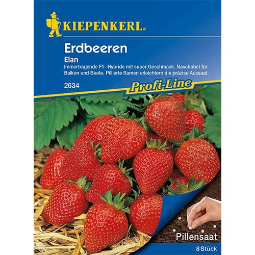 1 szt, Eper Elan F1 - Magok: Mod de ambalare: 1 db