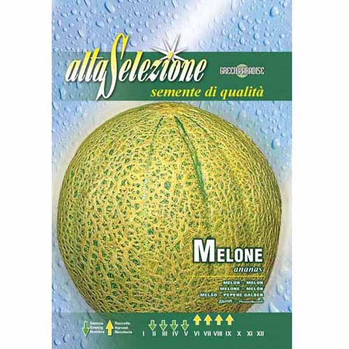 1 szt, Görögdinnye sárga Ananas - Magok: Mod de ambalare: 1 db