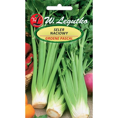 1 szt, Stangesellerie Plein blanc Pascal - Samen: Ilość w opakowaniu: 0.5 g