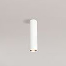 Italux Lopus lampa podsufitowa 1x10 W biała CLN-48930-L-WH