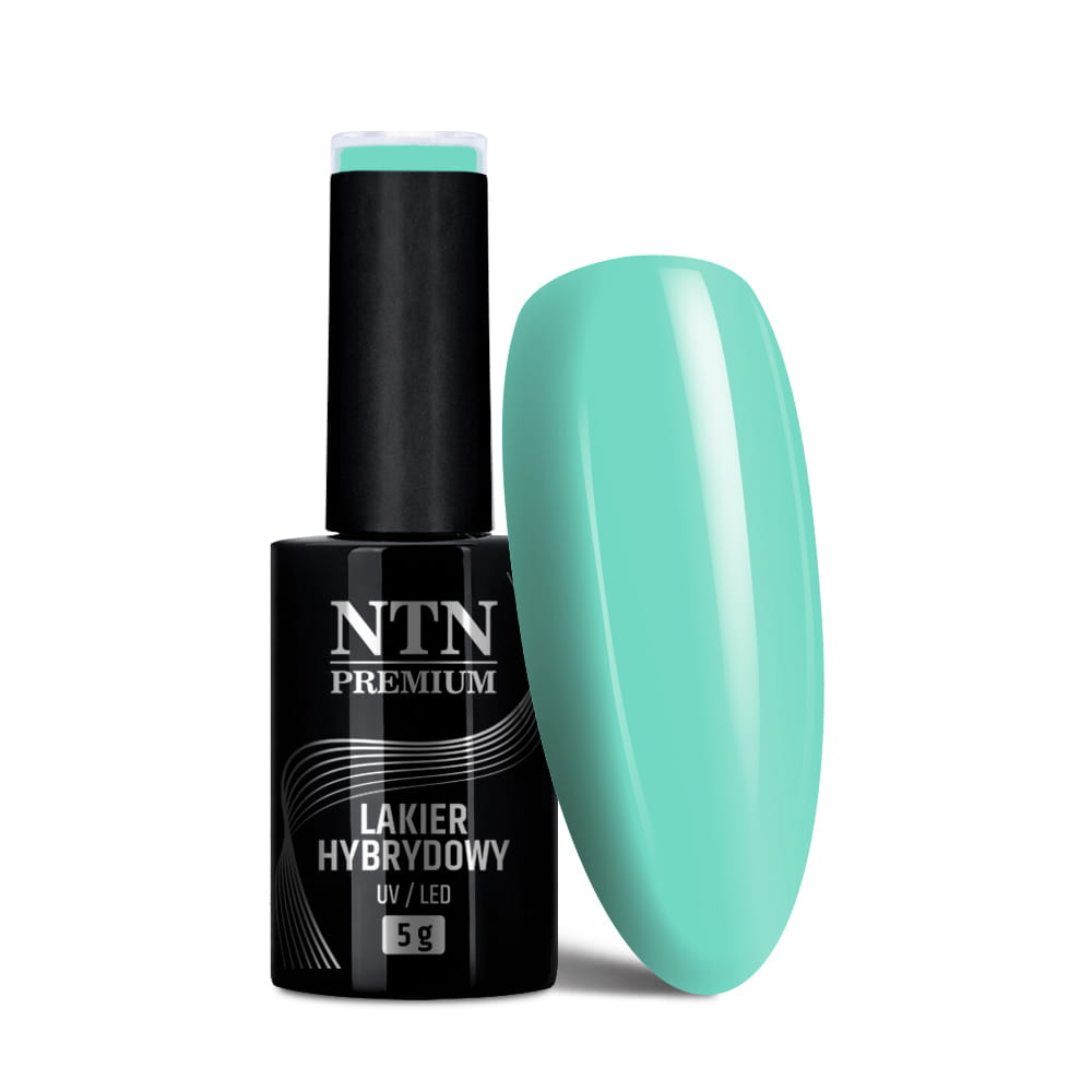 Lakier hybrydowy LED/UV Gel Polish NTN Premium California Collection Nr 137 5 g
