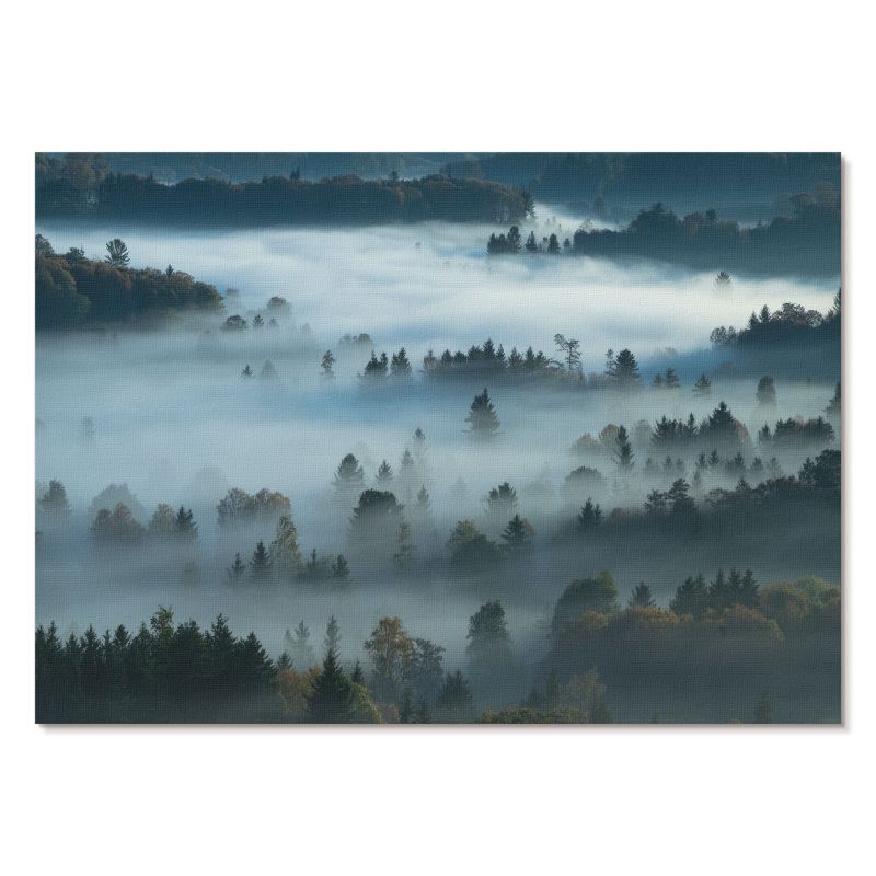 Nowoczesny Plakat na Płótnie Tulup 59,4x42 cm (A2) Mglista przyroda Do salonu, sypialni, 1 szt.