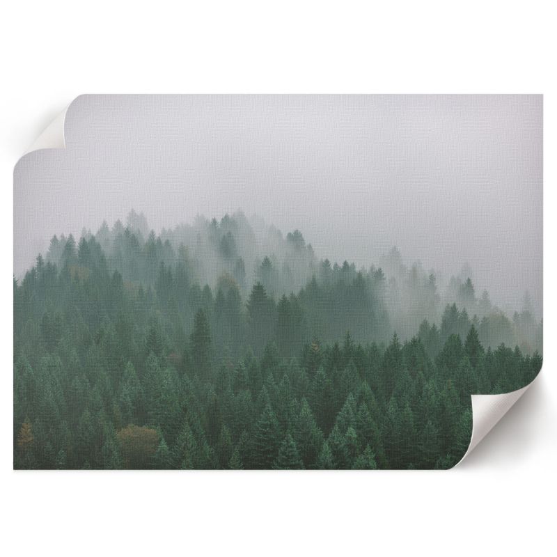 Plakat Premium ArtPrintCave 42x29,7 cm Leśna mgła Nitrozine 1 szt.