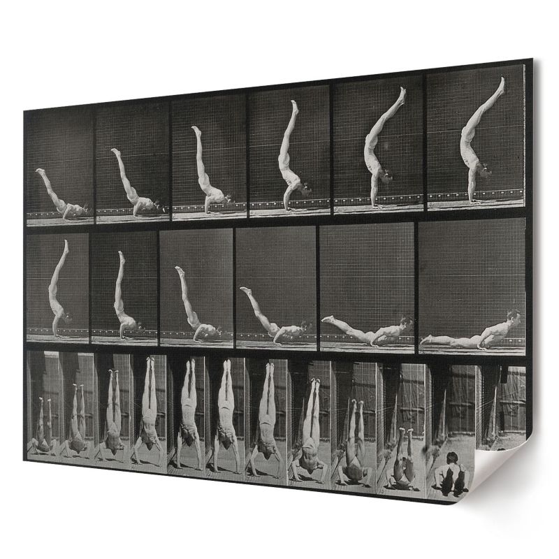 Plakat na ścianę Wallfluent Format A4 Mężczyzna na rękach Artysta Eadweard Muybridge 1 szt.