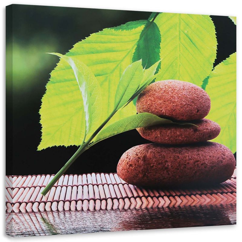 Obraz na płótnie Feeby Liście orzecha i kamienie 50x50cm 1szt