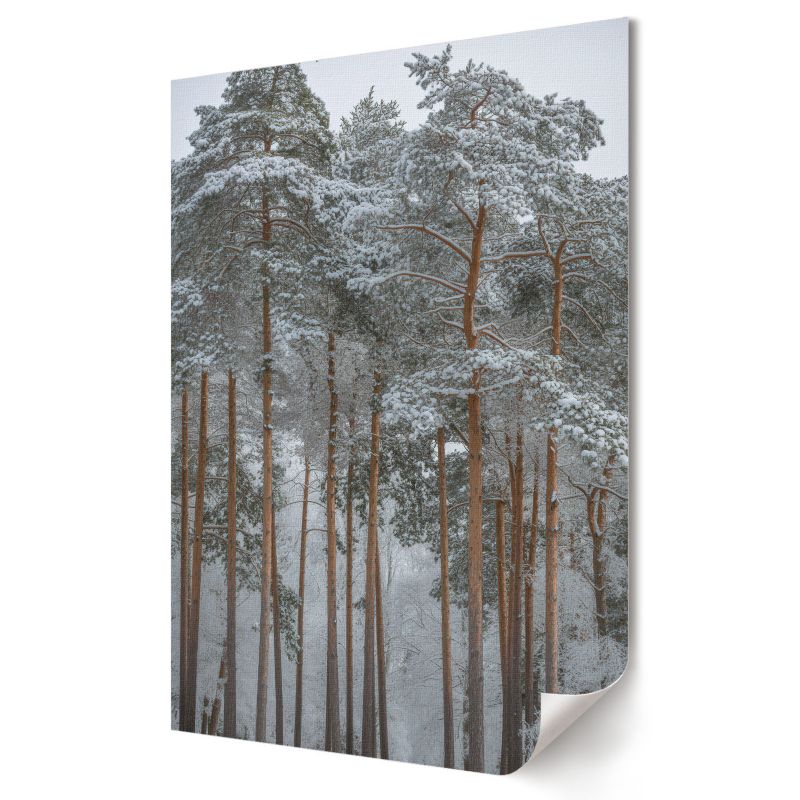 Plakat na ścianę Wallfluent Format A3 Leśna zima Artysta Nevara 1 szt.