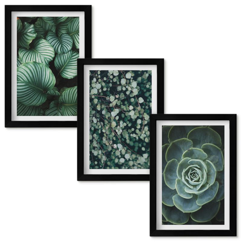 Zestaw obrazów Wallfluent Zielone liście sukulenty styl Czarna rama 20x30cm 3 szt.
