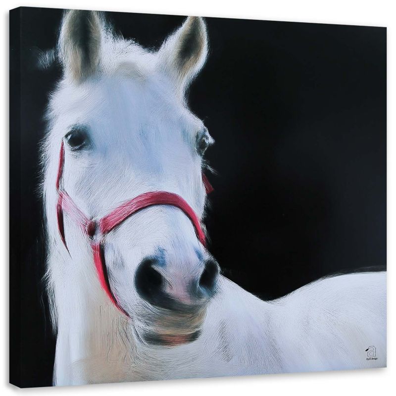 Obraz na płótnie Feeby Biała głowa konia 20x20cm 1szt