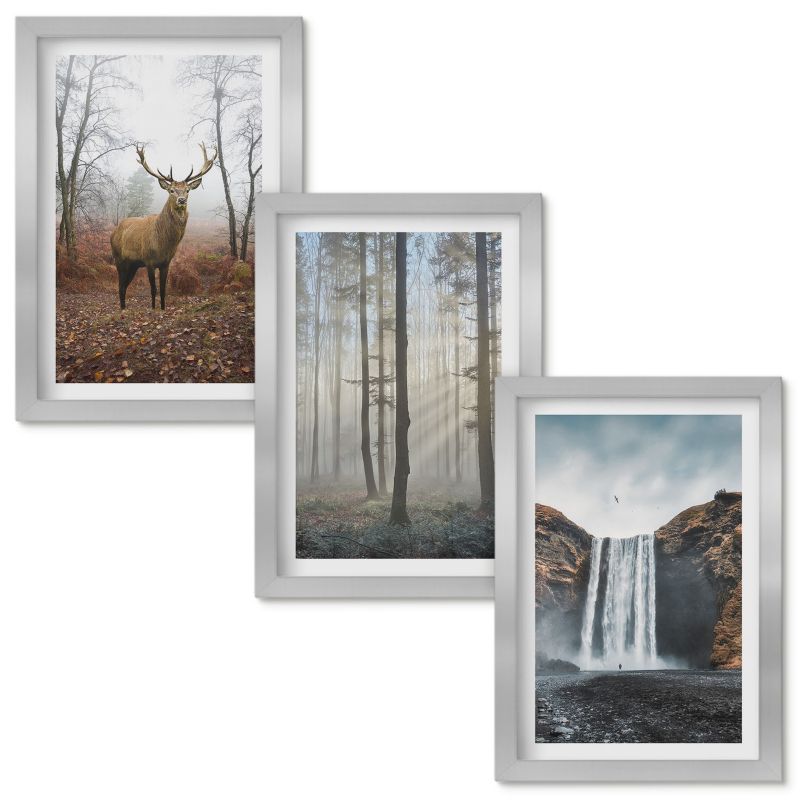 Zestaw obrazów Wallfluent Leśne krajobrazy dzika natura Srebrna rama 20x30cm 3 szt.