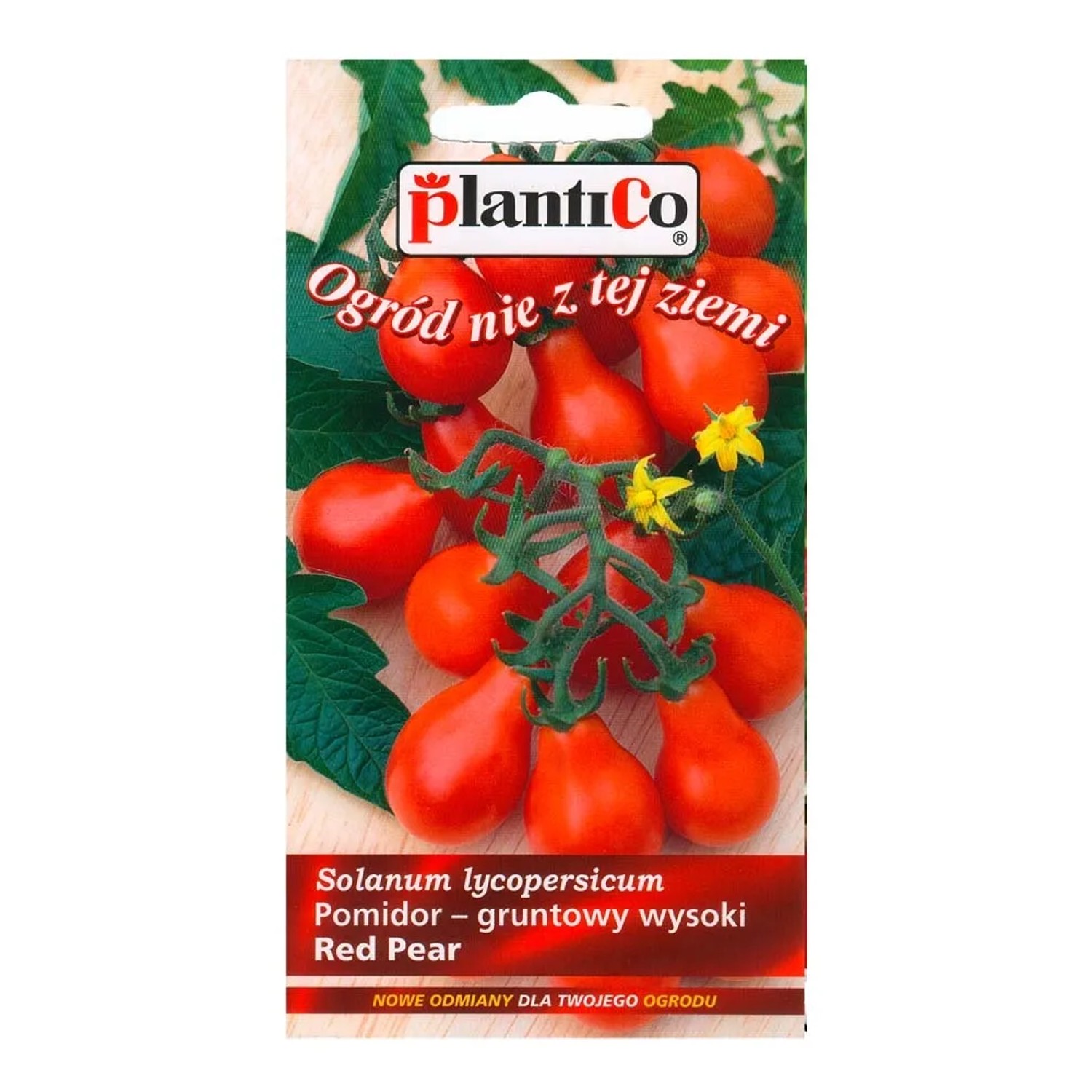 Pomidor Red Pear