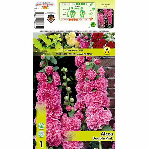 1 buc, Nalbă de grădină Double Pink - Bulbi: Mod de ambalare: 1 buc