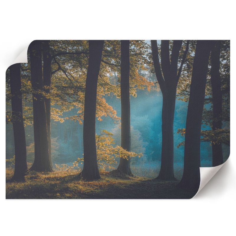 Grafika Na Ścianę ArtPrintCave 29,7x21 cm Leśny spokój Nevara 1 szt.