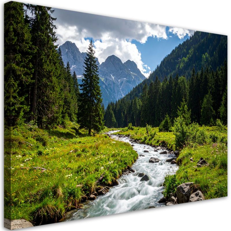 Obraz do salonu sypialni biura Feeby Krajobraz górski potok natura 100x70cm 1szt