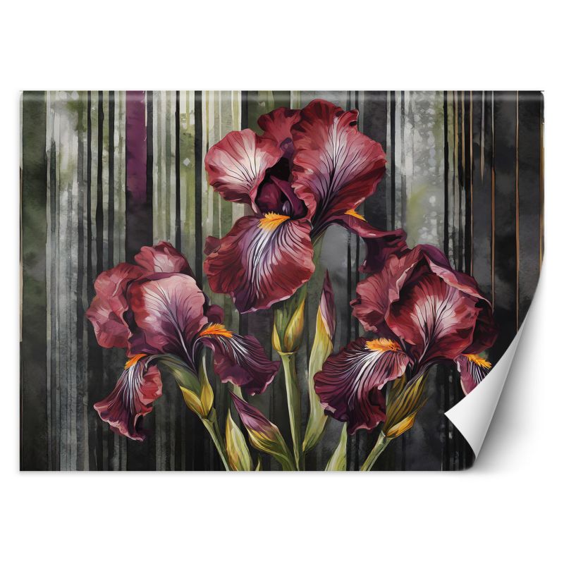 Fototapeta Feeby Czerwone kwiaty 350x245 1 szt