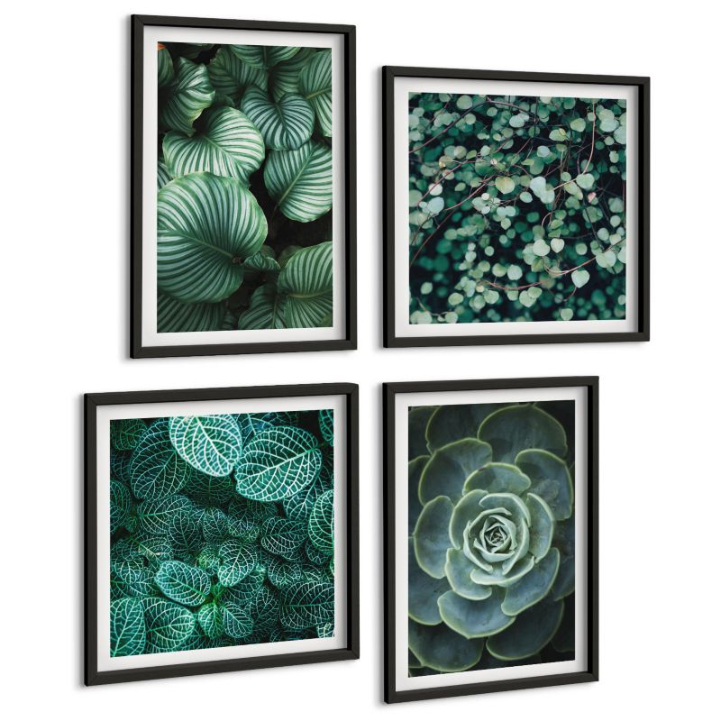 Czteroczęściowy Zestaw Obrazów ArtPrintCave (2x50x50+2x40x60cm) Czarna rama Zielone liście sukulentów 1 kpl.