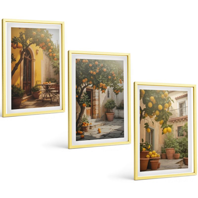 Galeria 3 Obrazów w Złotej Ramie ArtPrintCave 40x60 cm Komplet ścienny Słoneczne patio cytrusy doniczki 1 kpl.