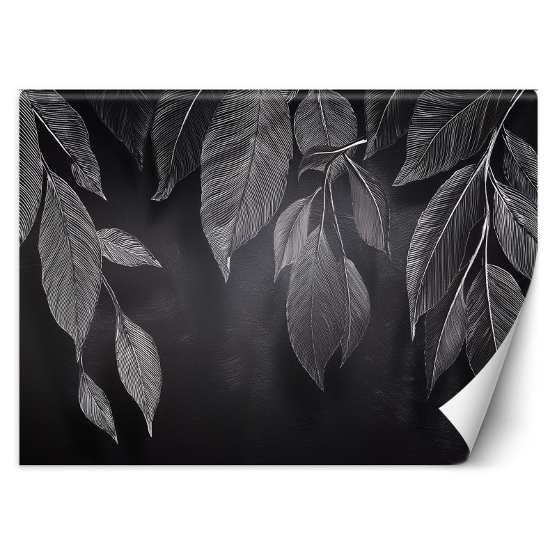 Fototapeta Feeby Minimalizm Liście Rośliny Czarno Biały 100x70 1 szt