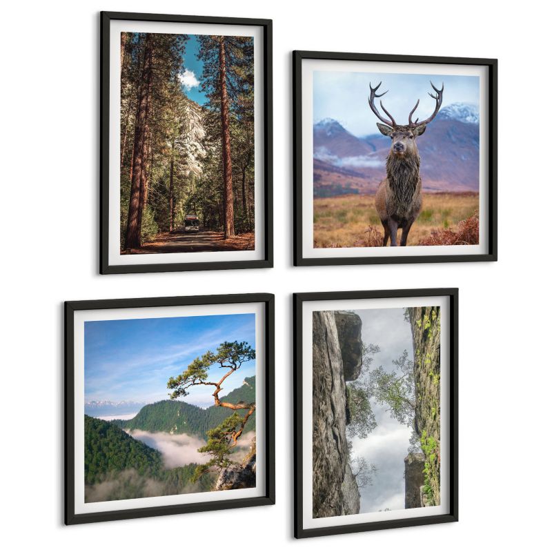 Zestaw Obrazów 4 Częściowy ArtPrintCave (2x50x50+2x40x60cm) Czarna rama Droga las góry jeleń natura 1 kpl.