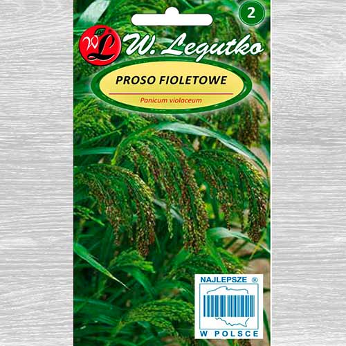 1 szt, Proso fioletowe - Nasiona: Ilość w opakowaniu: 3 g