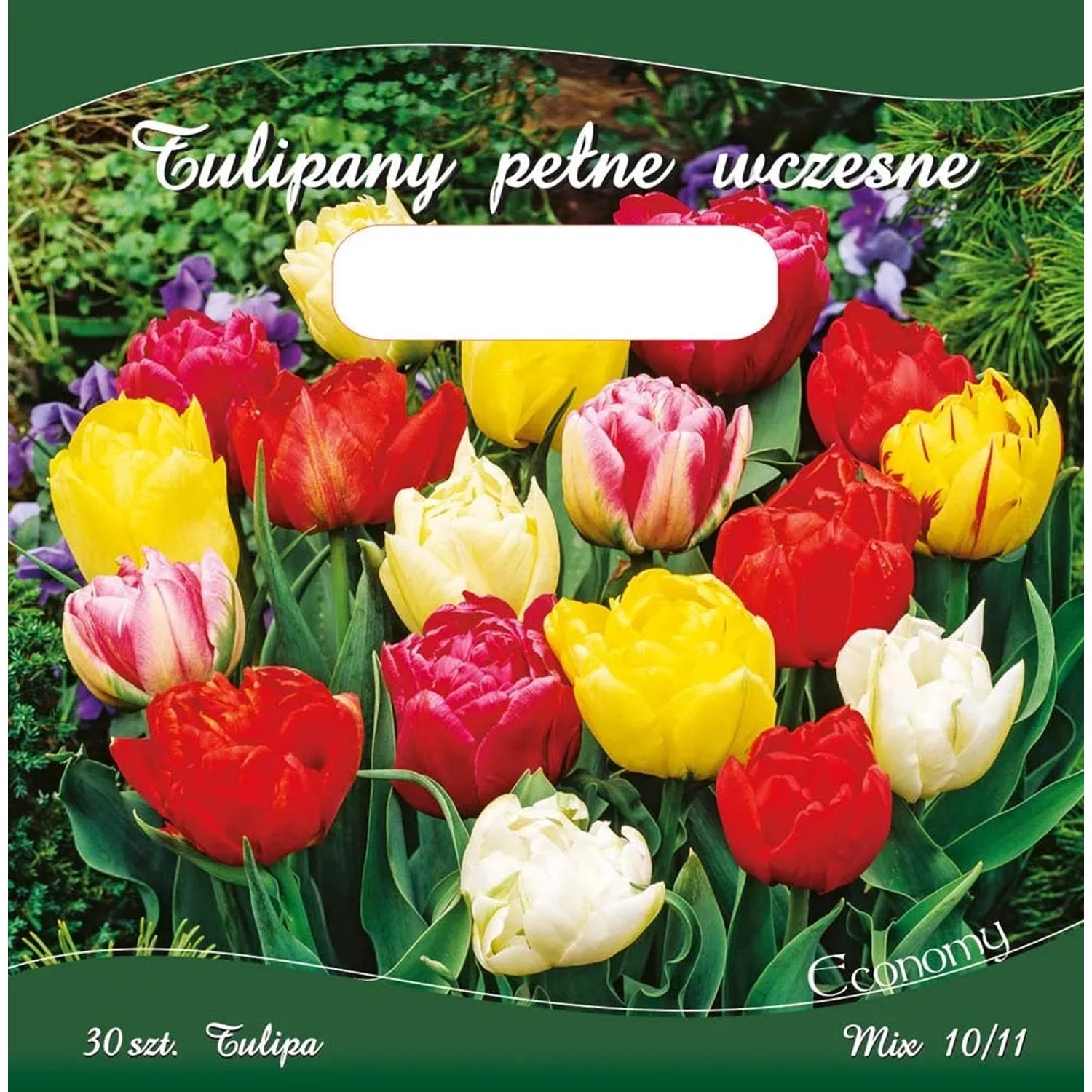 Tulipan Double Early - 30 szt.