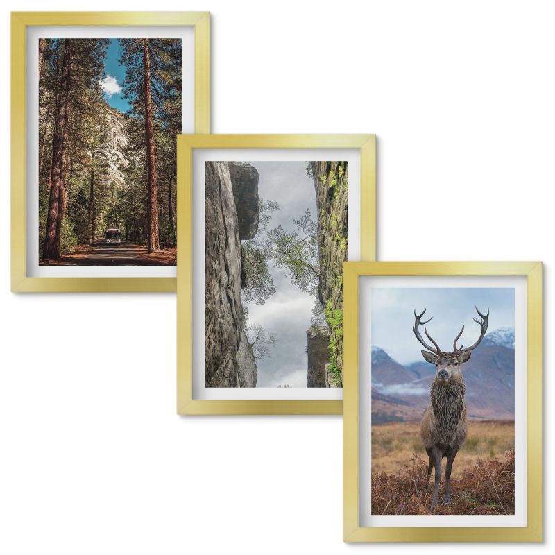 Obraz Ścienny Zestaw Wallfluent Droga las góry jeleń natura Złota rama 20x30cm 3 szt.